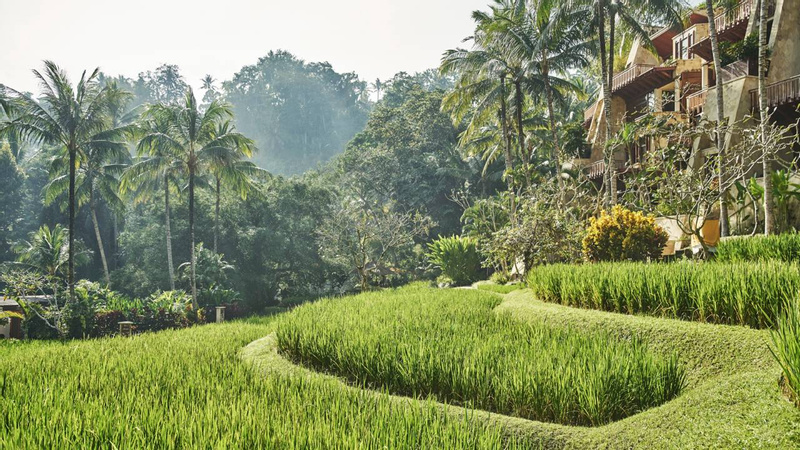 A Day in The Life of a Balinese Farmer photo